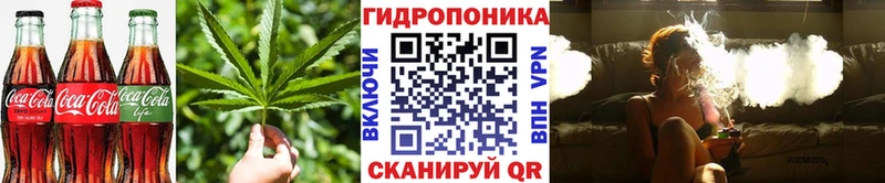 наркота  Лыткарино  мега вход  Еда ТГК марихуана 