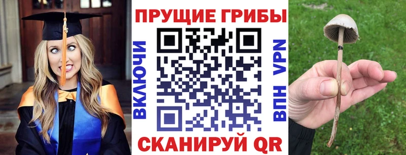 darknet телеграм  KRAKEN ONION  Галлюциногенные грибы прущие грибы  Лыткарино  где купить наркоту 